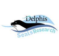 לוגו פרויקט מחקר.png