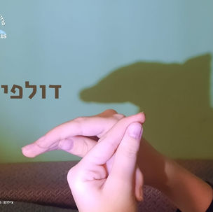 משחק צללים של דולפין