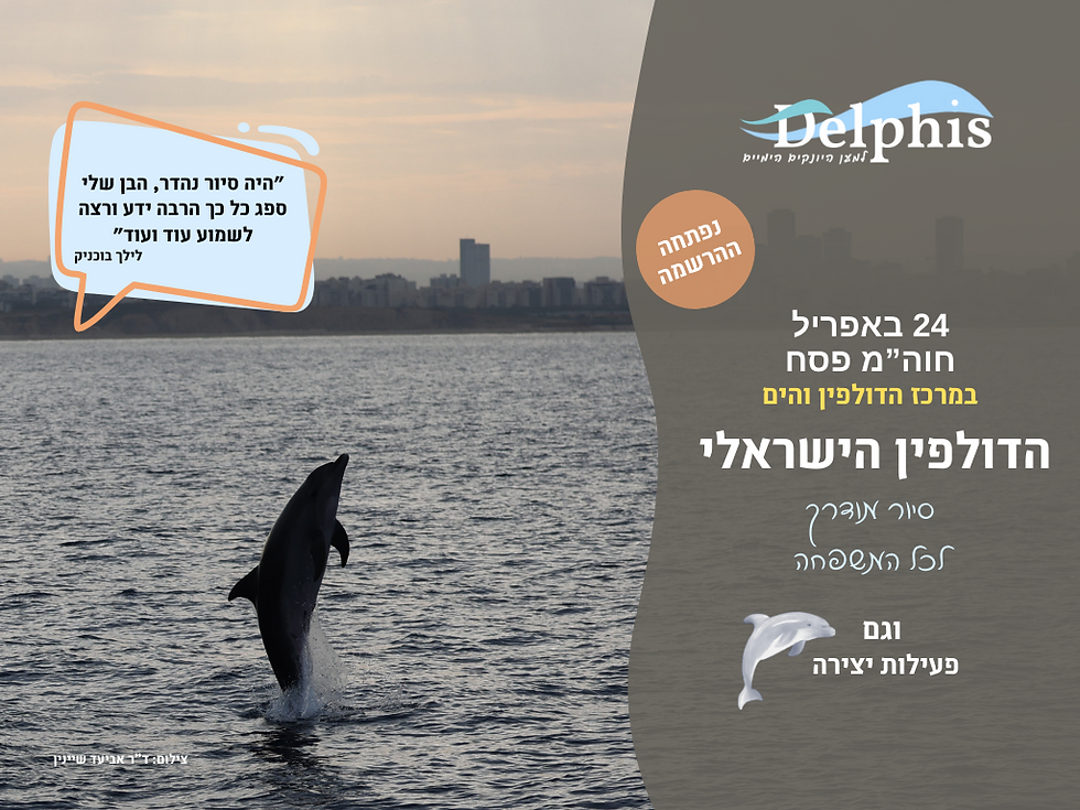 הדולפין הישראלי