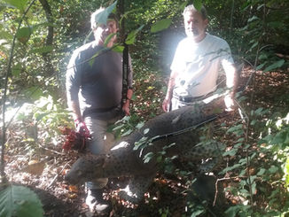 Bowhunters Championship