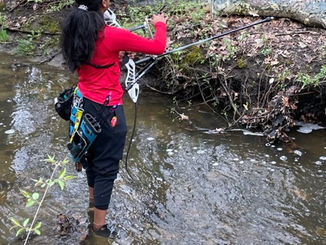 2022 North Region FITA Field Recap