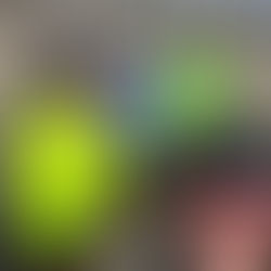 Sunshine, sprints and strong legs in the North Peace