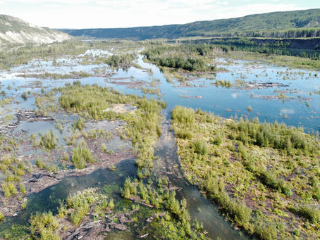 The Dam reservoir is full, now what?