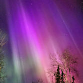 Peace Region Horoscope