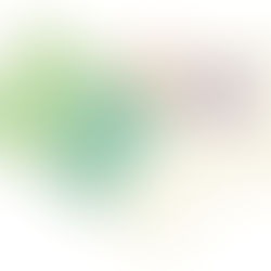 Future of Fort St. John pool being discussed with release of design