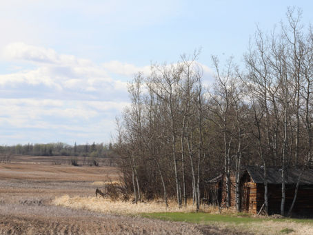 Letter to the Editor: