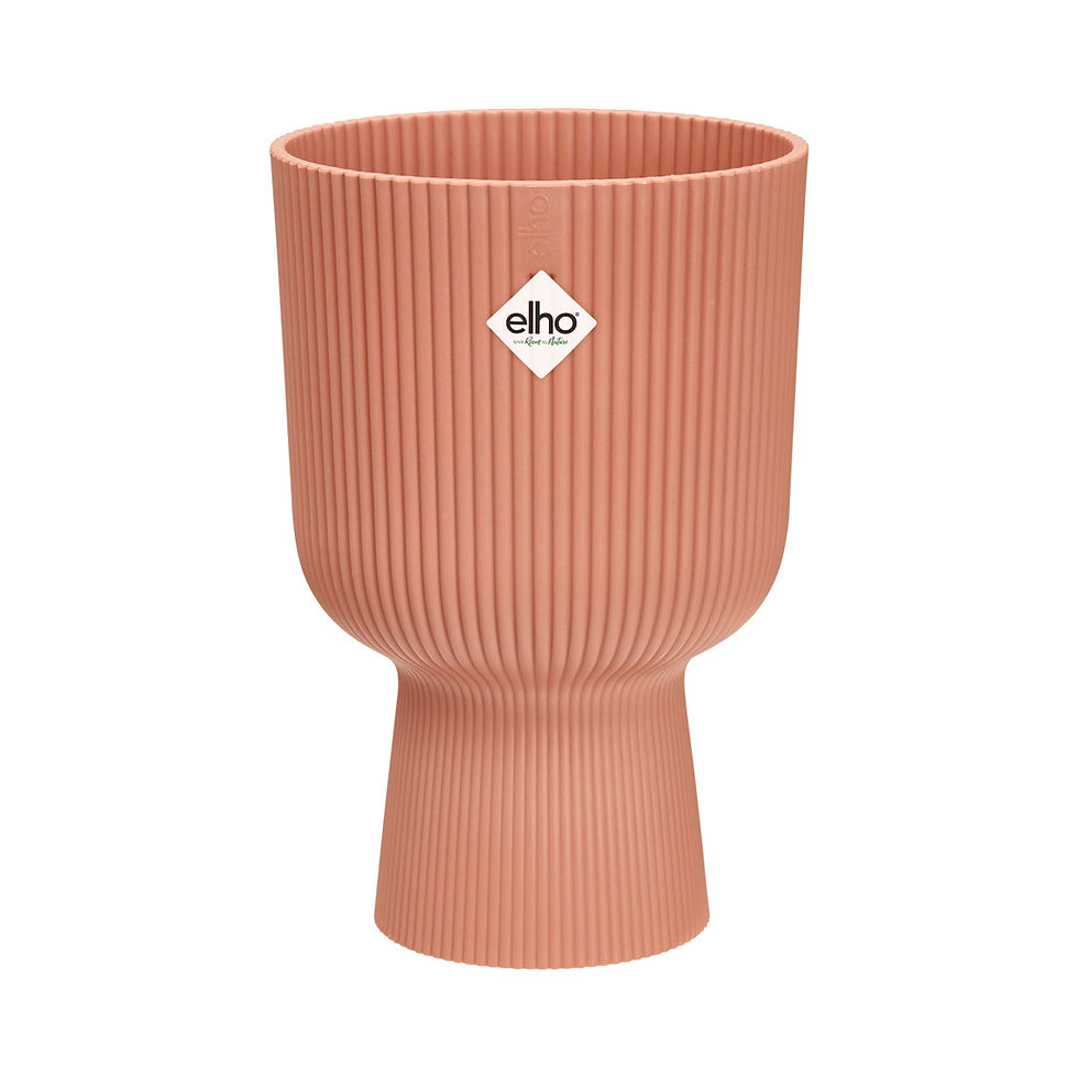 Miniatura: Vibes Fold Orchid high