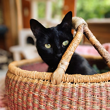 IMG_20230818_140135477_PORTRAIT~2_edited