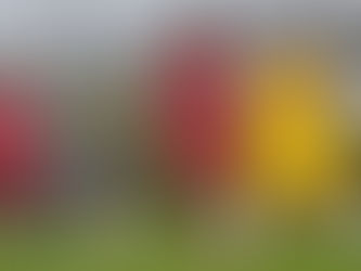 FCB - FC Ins Münschemier 2:0 (0:0)