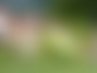 Cup: FCB - FC Ostermundigen 1:3 (1:1)