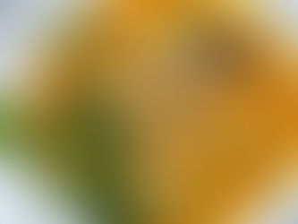 Traditional Vietnamese Recipe - Bún cà ri vịt (Duck curry with rice noodles)