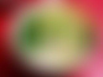 Traditional Vietnamese Recipe - Phở Gà (Chicken Pho)