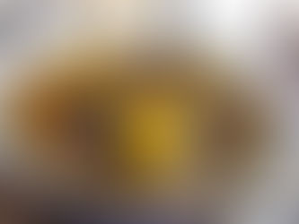 Traditional Vietnamese Recipe - Bánh áp chao - Cao Bang Fried Duck dumplings