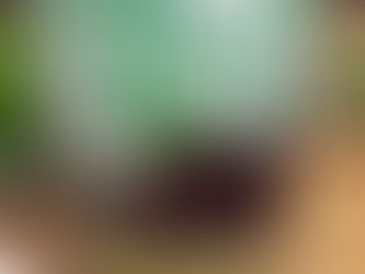 Traditional Vietnamese Recipe - Chè ba màu (Three Color Dessert)