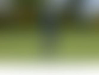 Ladies take win over Trinity Gaels