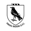 Writer: Chairperson Fingal Ravens