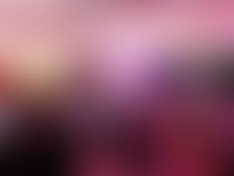 Ravens swap the playing field for the dance floor! Dinner Dance 2023