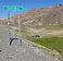 Pehuenche_Walter Prado_Image 001 (1).JPG