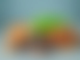 Superfoods for the Brain: Combat Cognitive Decline with Tasty Brain-Boosting Dishes