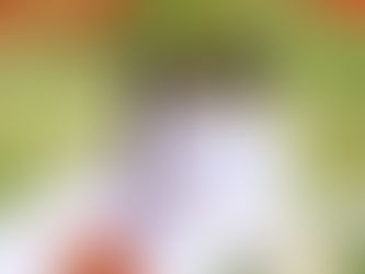 [2026 독점] 다낭 유흥의 덫: 그랩 및 길거리 호객꾼 사기 수법 대공개