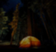 denys-nevozhai-63Znf38gnXk-unsplash_edit