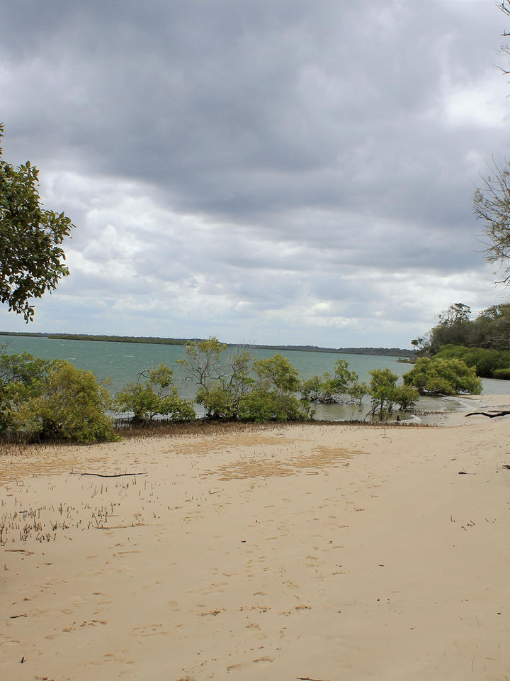 Woodgate beach camping