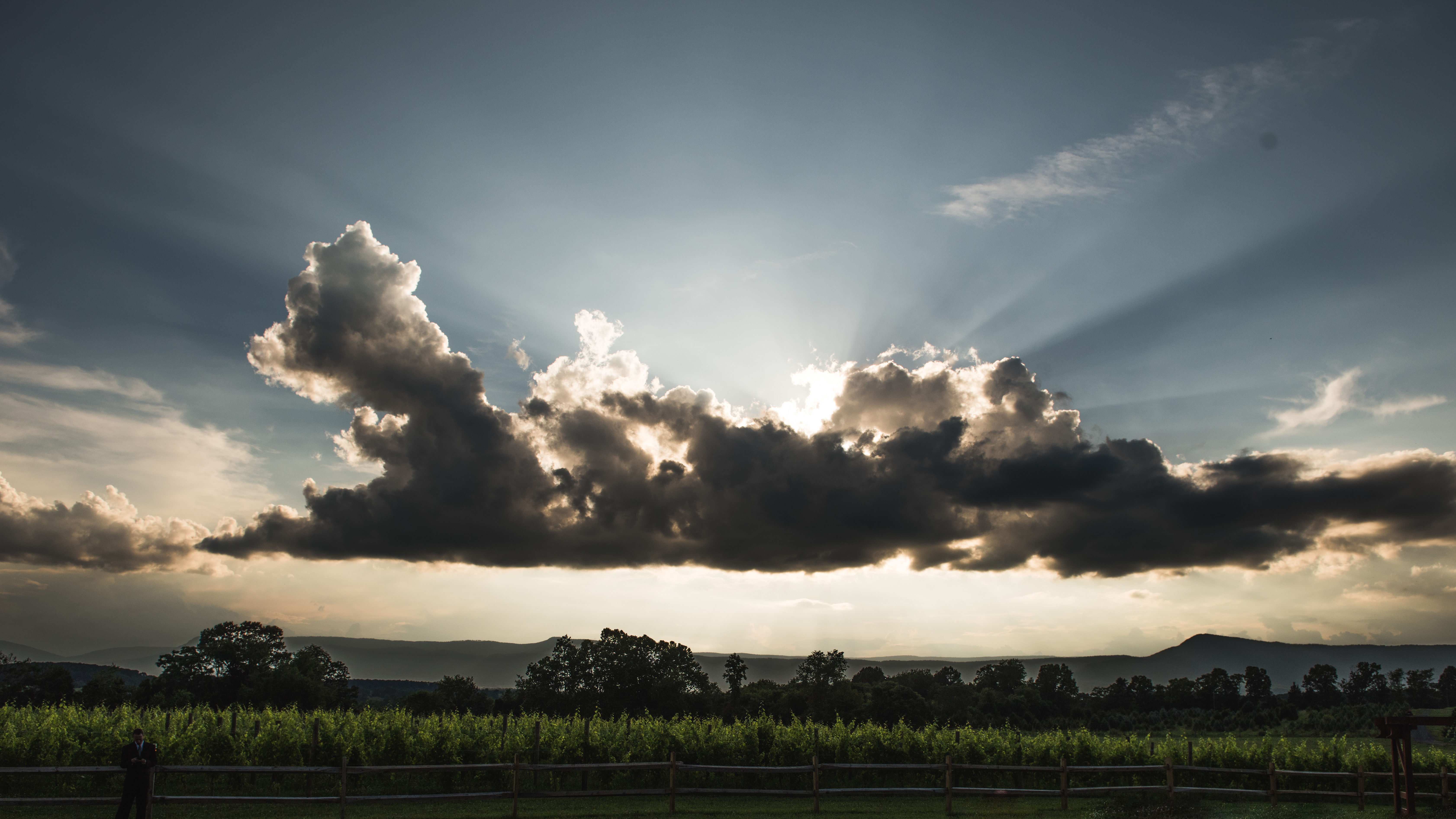 Large scene of venue and vineyards