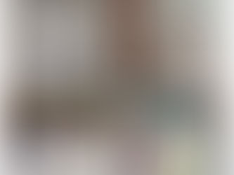 Art with expired visas