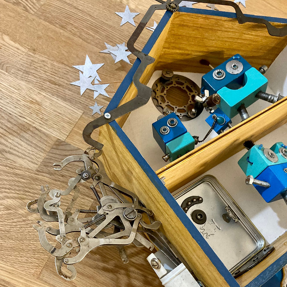 Miniature : La Maison Bleue