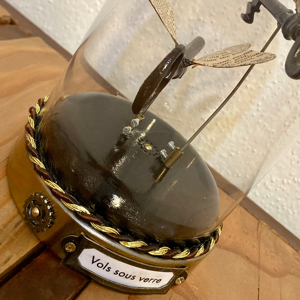 Miniature : Vols sous verre
