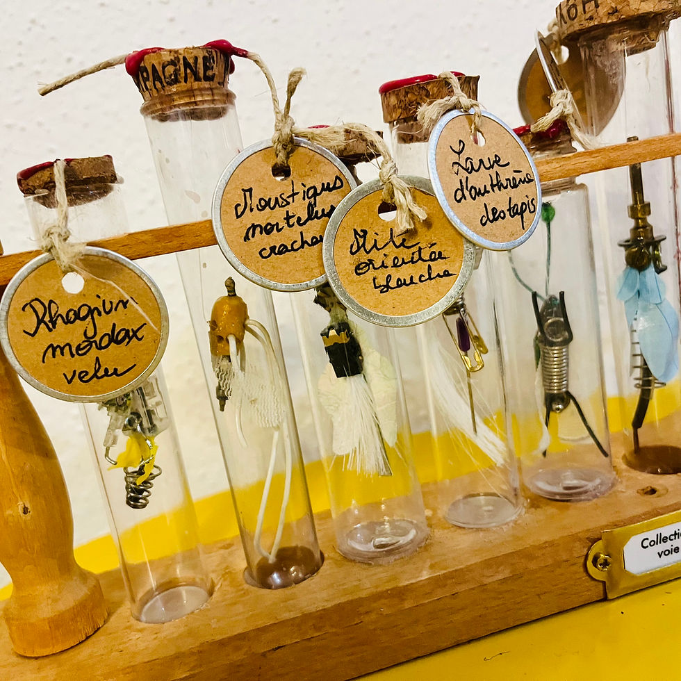 Miniature : Collection d'insectes en voie d'apparition