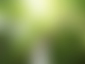 Connessioni tra ambiente e benessere: anche l'OMS ne parla