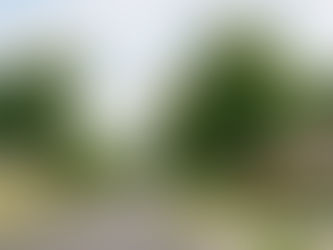 Darson Grantham best realtor Pleasant Hill Iowa darsongrantham.com