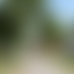 Darson Grantham top real estate agent Indianola Iowa darsongrantham.com