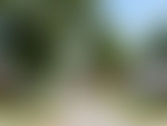 Darson Grantham top real estate agent Indianola Iowa darsongrantham.com