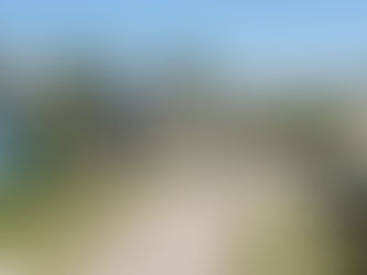 Darson Grantham best realtor in bondurant iowa darsongrantham.com