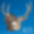 Photoroom-20260409_092236659