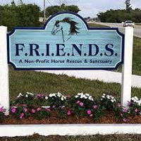 f.r.i.e.n.d.s..jpeg