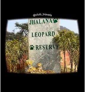 Jhalana Leopard Safari Park.webp