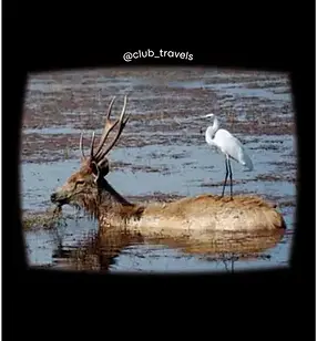 Band Baretha Wildlife Sanctuary.webp