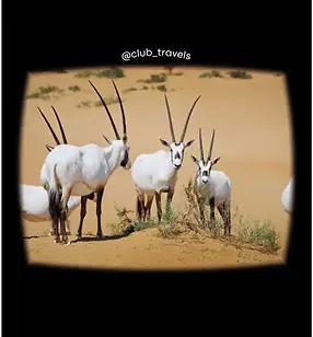 desert national park.webp