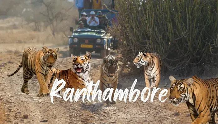 ranthambore