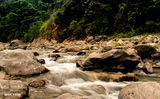 Fast flowing river through rocky terrain with lush green forest background.