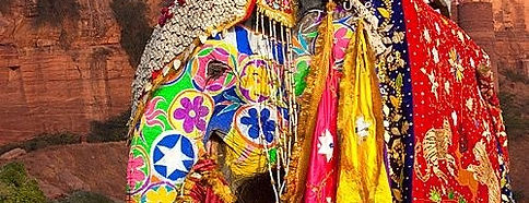 Bruiloft in Rajasthan