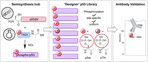 toc1_final.png