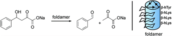 Beta Aldolase.gif
