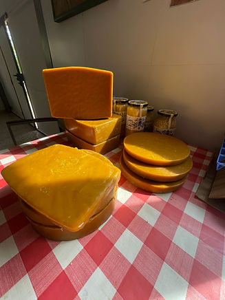 34C609D9-FD0F-4B1E-84D4-D60AB5CAA71E.jpeg