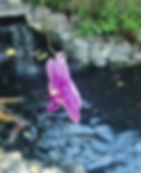 a video of a purple orchid pendant dangling over a koi fish pond