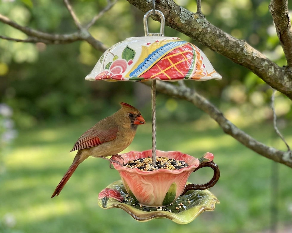 A whimsical tea-cup-shaped bird feeder hanging from a tree, with a female Northern Cardinal perched on the edge eating seeds.