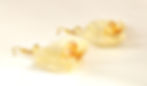 white orchid earrings side view